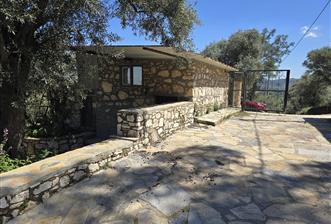 Milas Kuzyaka'da Altyapılı Satılık Yatırımlık Zeytinlik - 6 - 33389