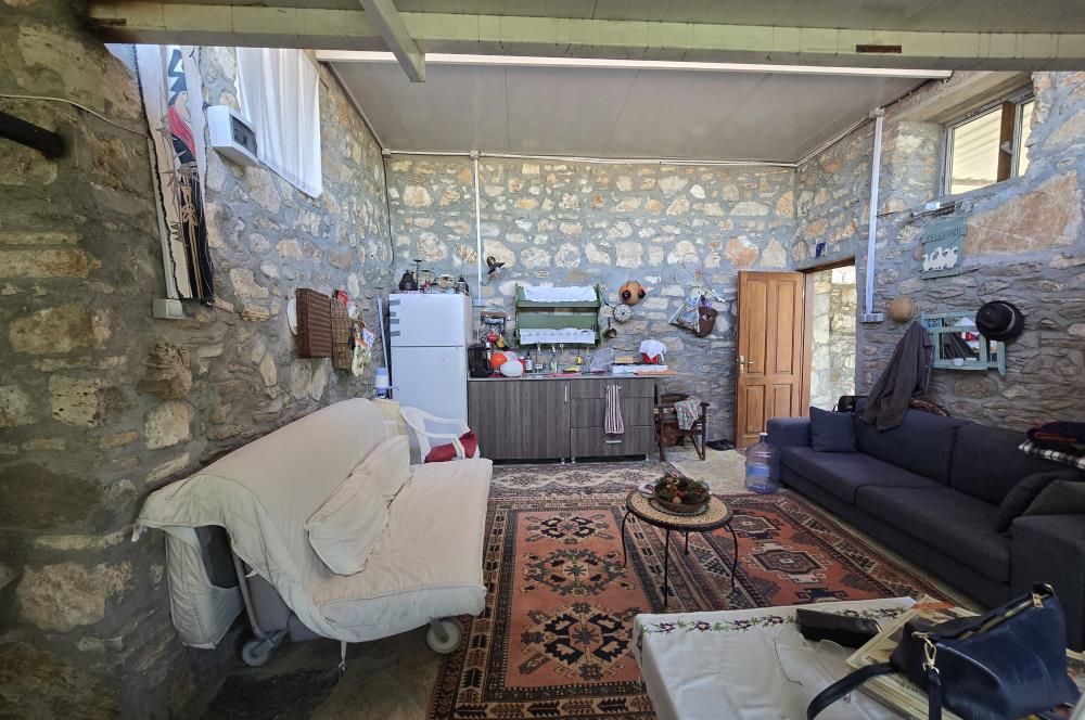 Milas Kuzyaka'da Altyapılı Satılık Yatırımlık Zeytinlik