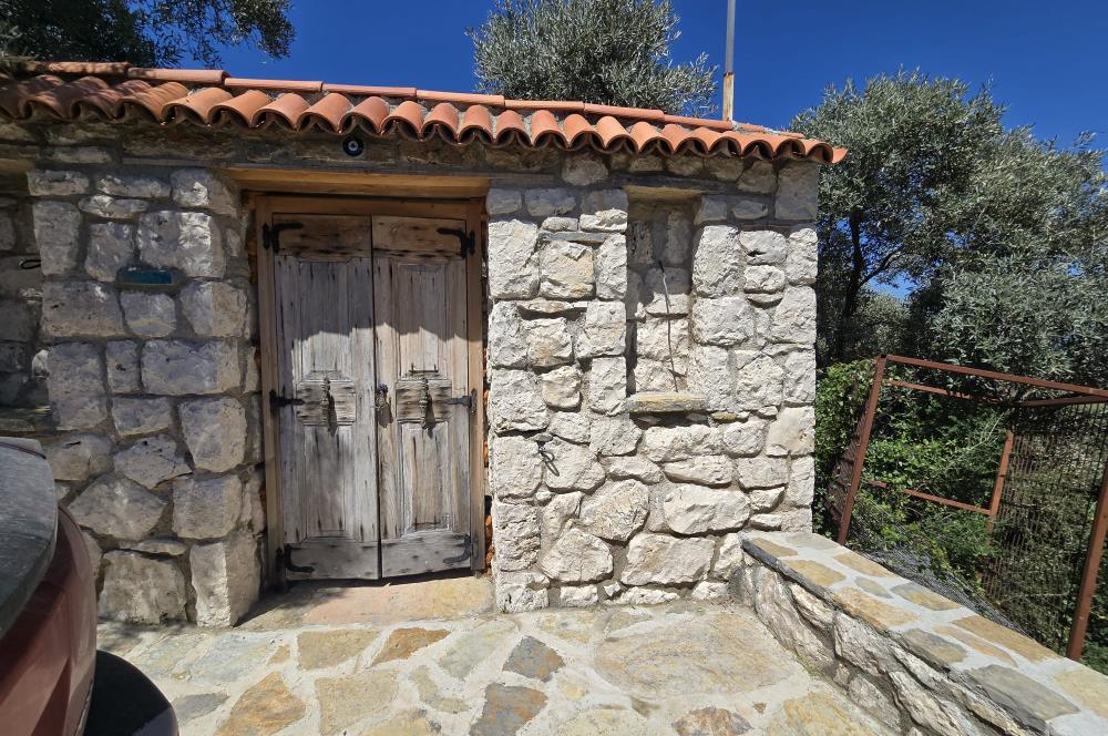 Milas Kuzyaka'da Altyapılı Satılık Yatırımlık Zeytinlik