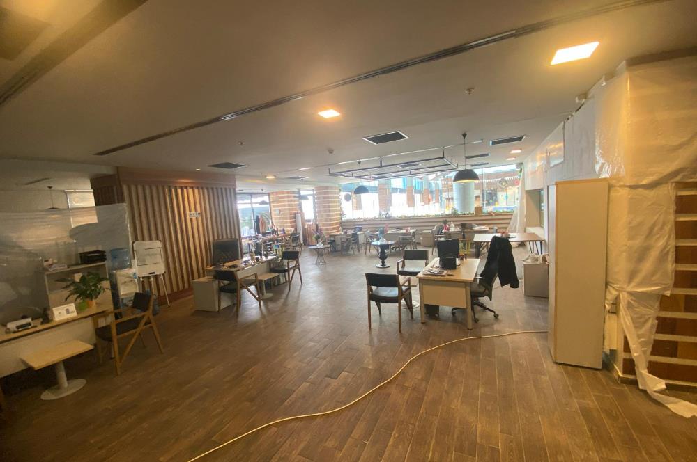 Bankadan Satılık Spor Salonu Kiracılı AVM Katı