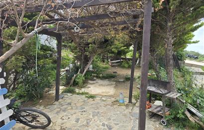 Bodrum Gümüşlükte Kiralık 2+1 Havuzlu Dubleks Müstakil Ev