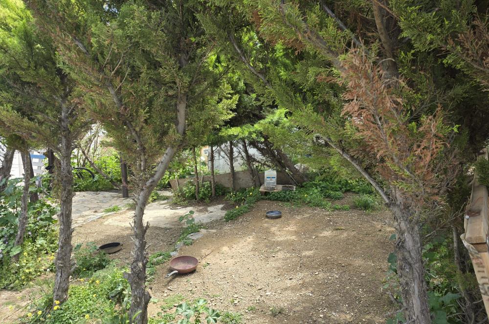 Bodrum Gümüşlükte Kiralık 2+1 Havuzlu Dubleks Müstakil Ev