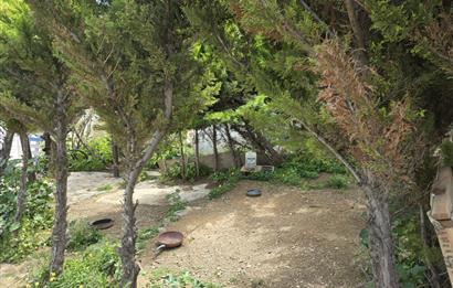 Bodrum Gümüşlükte Kiralık 2+1 Havuzlu Dubleks Müstakil Ev