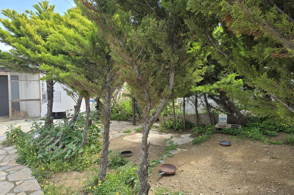 Bodrum Gümüşlükte Kiralık 2+1 Havuzlu Dubleks Müstakil Ev