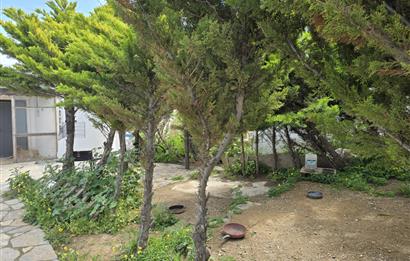 Bodrum Gümüşlükte Kiralık 2+1 Havuzlu Dubleks Müstakil Ev