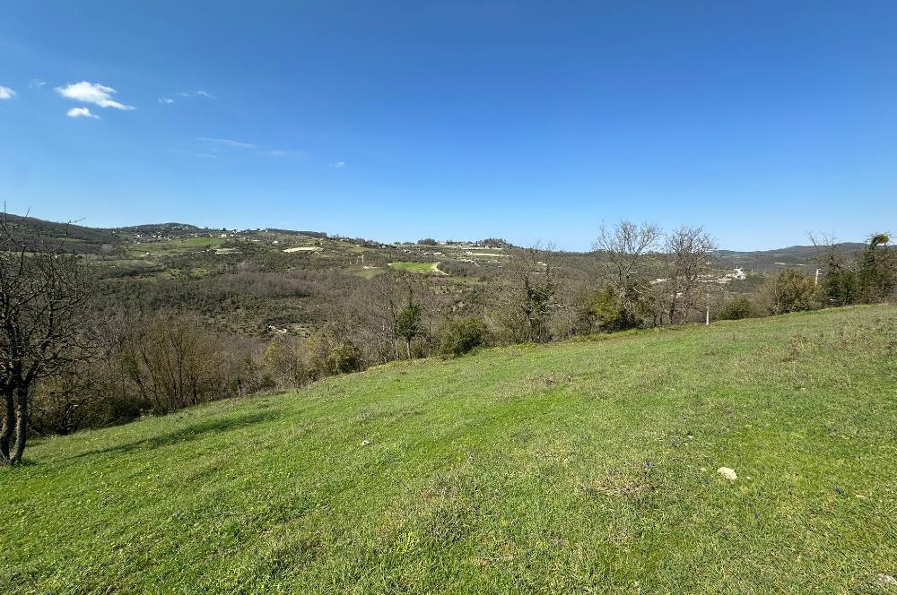 GEBZE ELBİZLİ KÖYÜ SATILIK ARSA