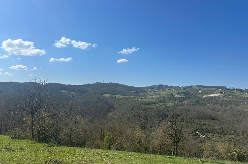 GEBZE ELBİZLİ KÖYÜ SATILIK ARSA