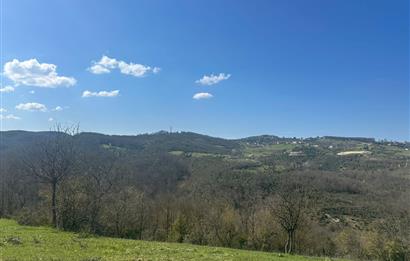 GEBZE ELBİZLİ KÖYÜ SATILIK ARSA