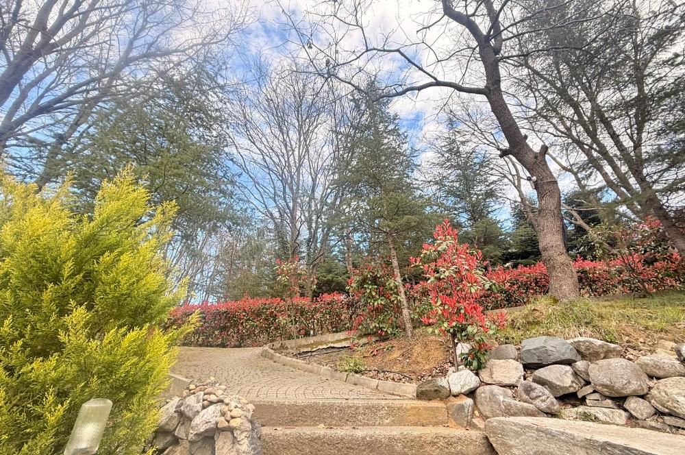 SERTAÇ MAZI'DAN KEMER KORU EVLERİ'NDE DOĞANIN İÇİNDE 5+2 VİLLA