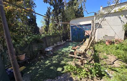 Bodrum Gümüşlükte Kiralık 2+1 Modern Daire