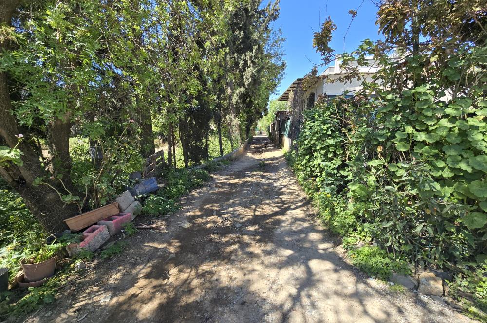 Bodrum Gümüşlükte Kiralık 2+1 Modern Daire