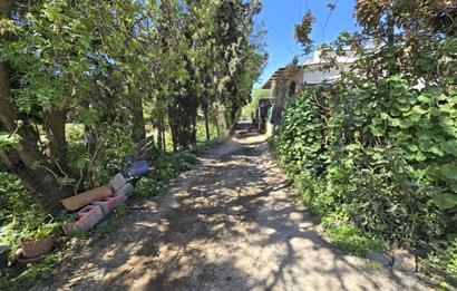 Bodrum Gümüşlükte Kiralık 2+1 Modern Daire