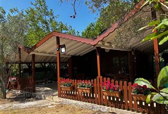 Gümüşdere’de Doğayla İç İçe, Müstakil Ahşap Evli Tarla - 4 - 33531