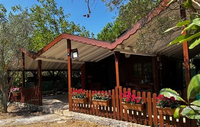 Gümüşdere’de Doğayla İç İçe, Müstakil Ahşap Evli Tarla