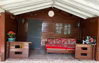 Gümüşdere’de Doğayla İç İçe, Müstakil Ahşap Evli Tarla