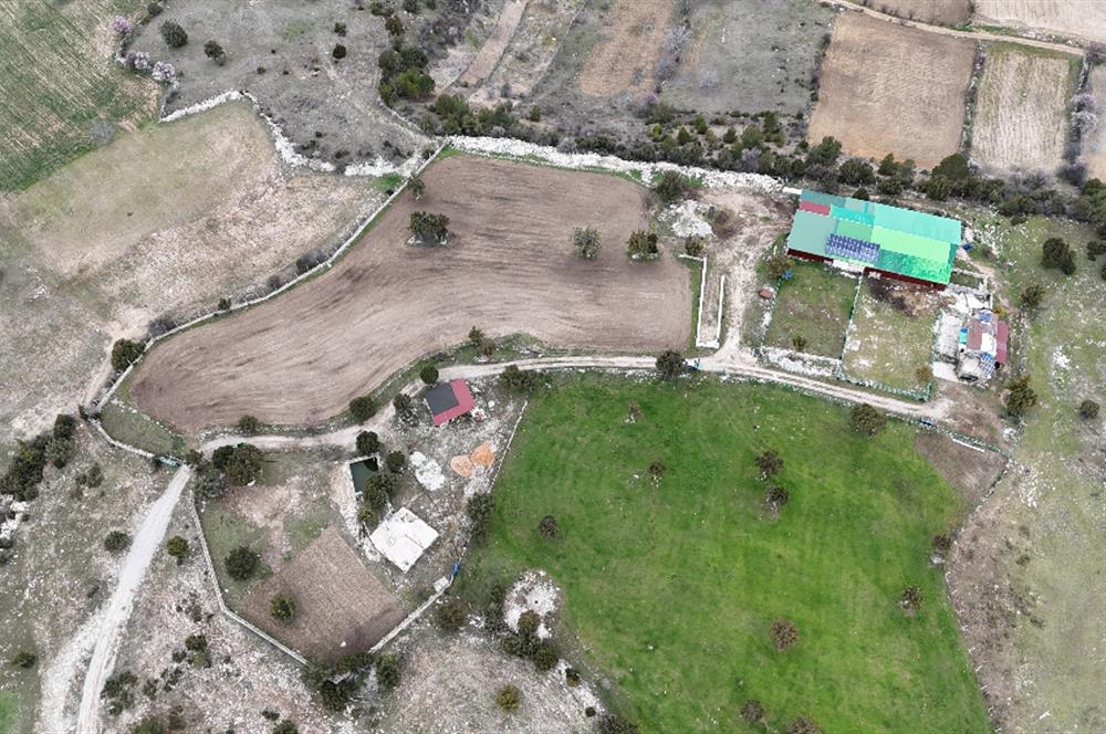 C21 Loft'tan Kurtluca Mahallesinde Satılık Çiftlik 