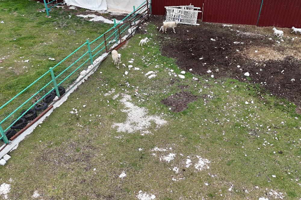 C21 Loft'tan Kurtluca Mahallesinde Satılık Çiftlik 