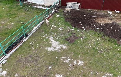 C21 Loft'tan Kurtluca Mahallesinde Satılık Çiftlik 