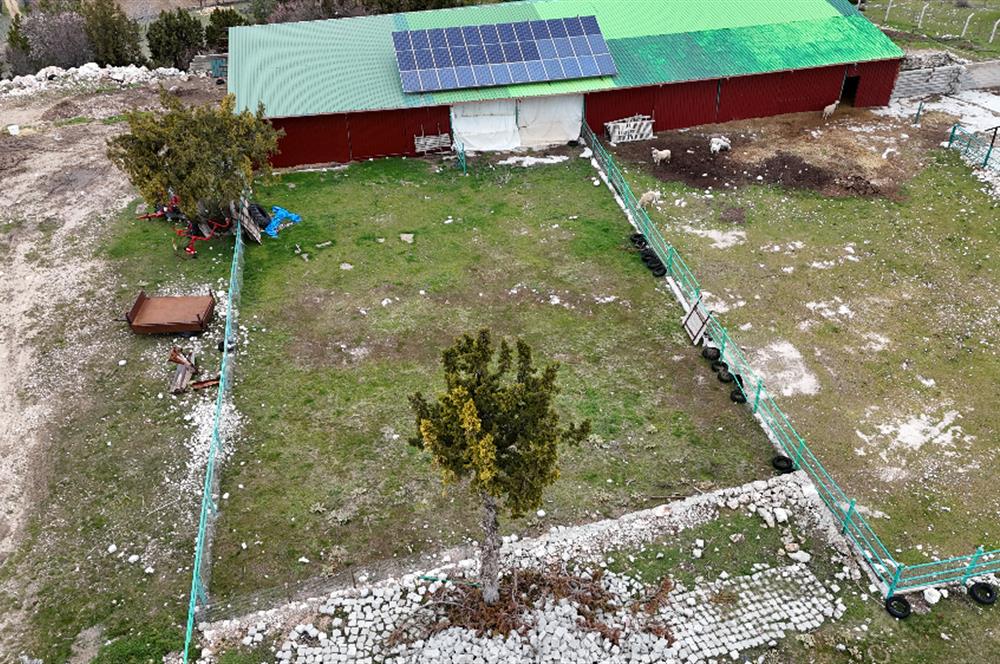 C21 Loft'tan Kurtluca Mahallesinde Satılık Çiftlik 