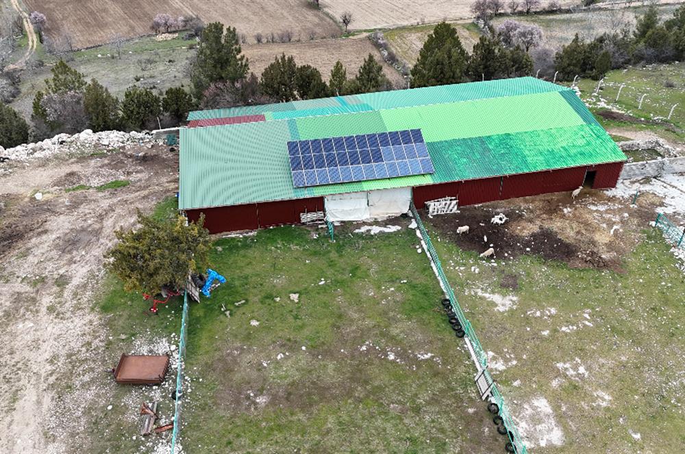 C21 Loft'tan Kurtluca Mahallesinde Satılık Çiftlik 