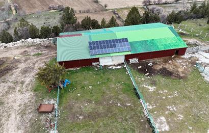 C21 Loft'tan Kurtluca Mahallesinde Satılık Çiftlik 