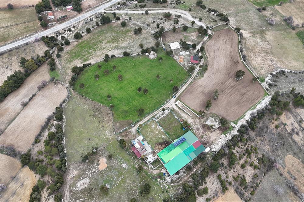 C21 Loft'tan Kurtluca Mahallesinde Satılık Çiftlik 