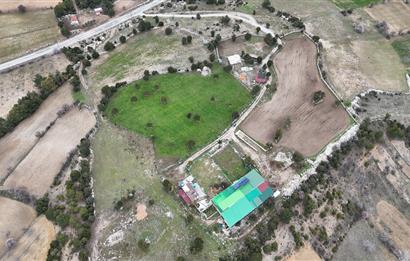 C21 Loft'tan Kurtluca Mahallesinde Satılık Çiftlik 