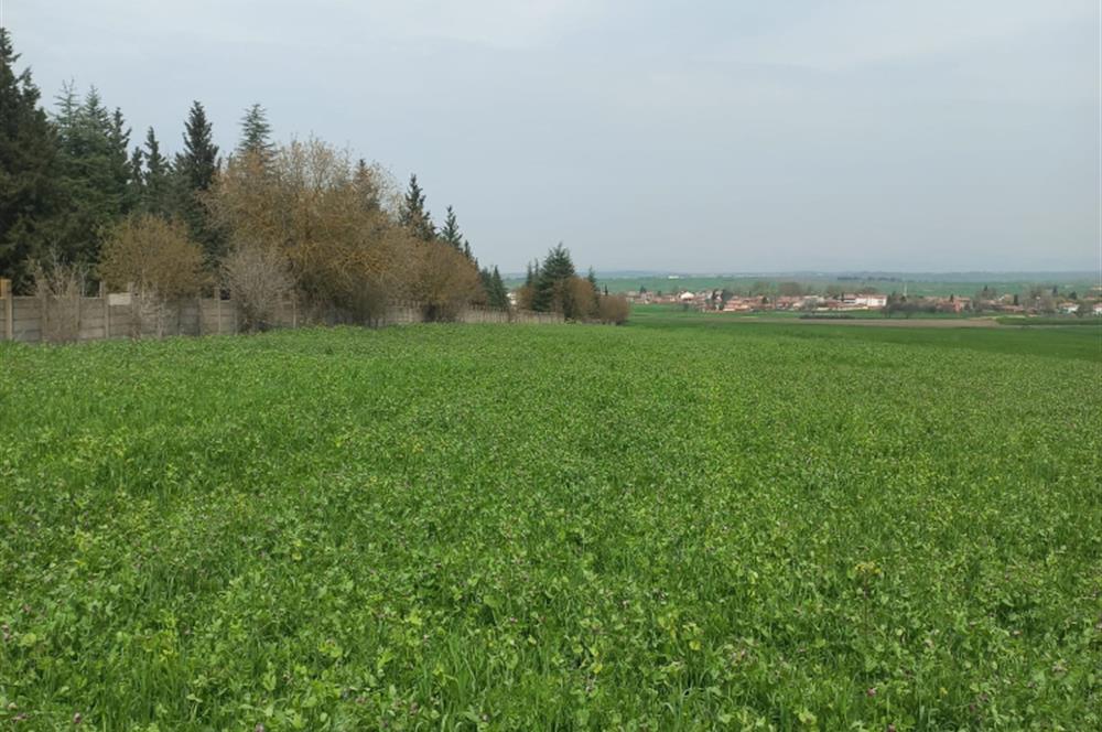 C.21 LOCA ALTIEYLÜL PAŞAKÖYDE SATILIK 7565 M2 FIRSAT ARSA,TARLA