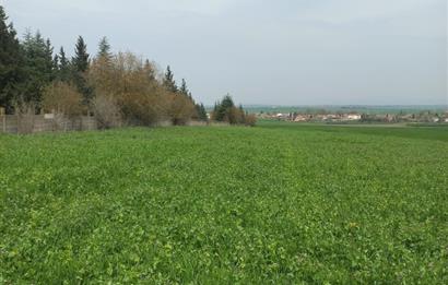 C.21 LOCA ALTIEYLÜL PAŞAKÖYDE SATILIK 7565 M2 FIRSAT ARSA,TARLA