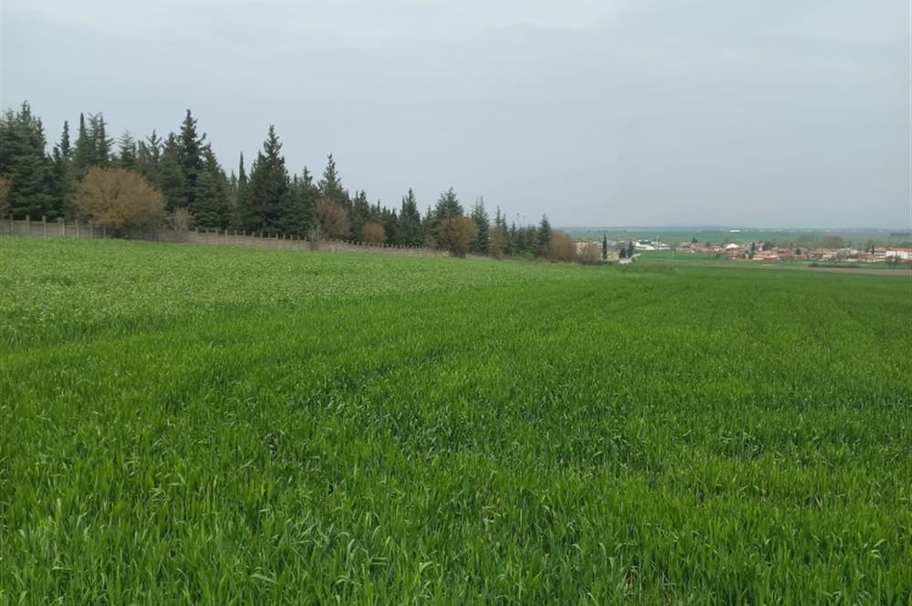 C.21 LOCA ALTIEYLÜL PAŞAKÖYDE SATILIK 7565 M2 FIRSAT ARSA,TARLA