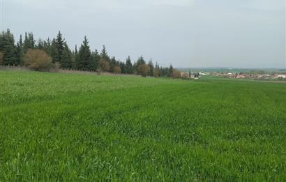 C.21 LOCA ALTIEYLÜL PAŞAKÖYDE SATILIK 7565 M2 FIRSAT ARSA,TARLA