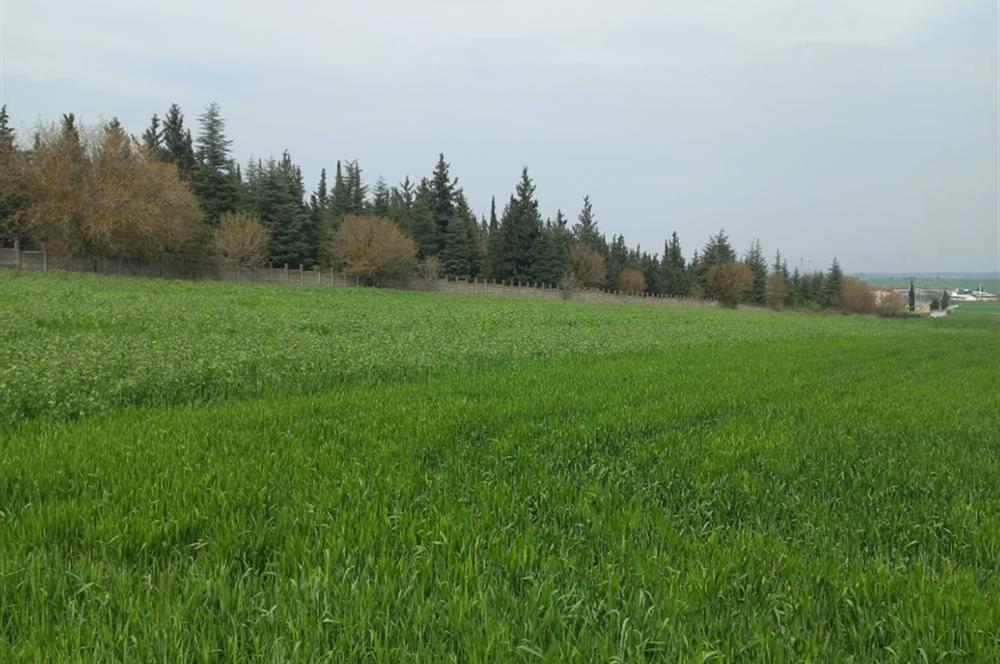 C.21 LOCA ALTIEYLÜL PAŞAKÖYDE SATILIK 7565 M2 FIRSAT ARSA,TARLA