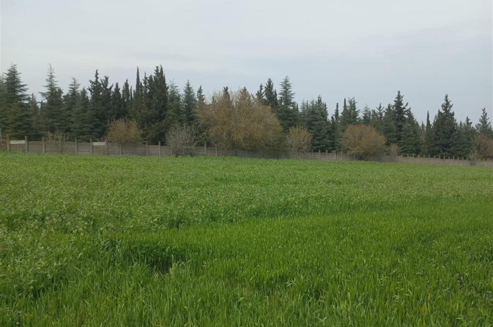 C.21 LOCA ALTIEYLÜL PAŞAKÖYDE SATILIK 7565 M2 FIRSAT ARSA,TARLA