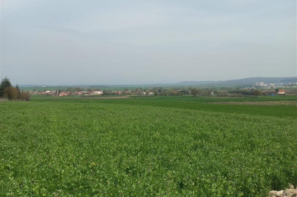 C.21 LOCA ALTIEYLÜL PAŞAKÖYDE SATILIK 7565 M2 FIRSAT ARSA,TARLA