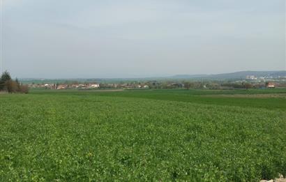 C.21 LOCA ALTIEYLÜL PAŞAKÖYDE SATILIK 7565 M2 FIRSAT ARSA,TARLA