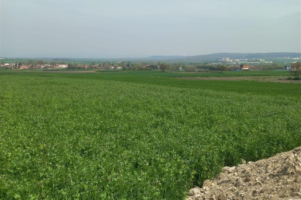 C.21 LOCA ALTIEYLÜL PAŞAKÖYDE SATILIK 7565 M2 FIRSAT ARSA,TARLA