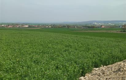 C.21 LOCA ALTIEYLÜL PAŞAKÖYDE SATILIK 7565 M2 FIRSAT ARSA,TARLA