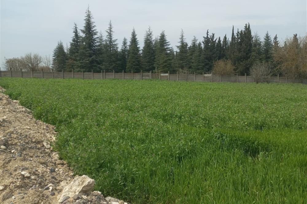 C.21 LOCA ALTIEYLÜL PAŞAKÖYDE SATILIK 7565 M2 FIRSAT ARSA,TARLA