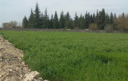 C.21 LOCA ALTIEYLÜL PAŞAKÖYDE SATILIK 7565 M2 FIRSAT ARSA,TARLA