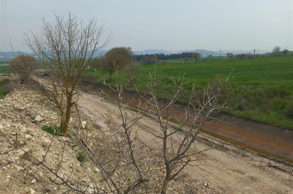 C.21 LOCA ALTIEYLÜL PAŞAKÖYDE SATILIK 7565 M2 FIRSAT ARSA,TARLA