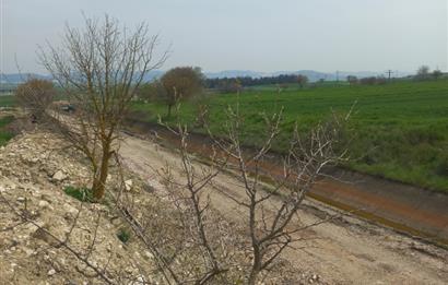 C.21 LOCA ALTIEYLÜL PAŞAKÖYDE SATILIK 7565 M2 FIRSAT ARSA,TARLA