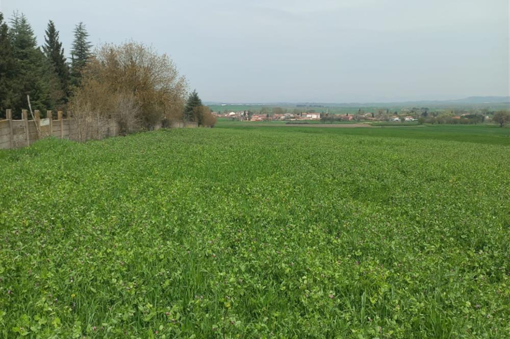 C.21 LOCA ALTIEYLÜL PAŞAKÖYDE SATILIK 7565 M2 FIRSAT ARSA,TARLA