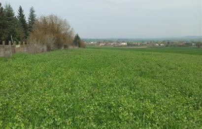 C.21 LOCA ALTIEYLÜL PAŞAKÖYDE SATILIK 7565 M2 FIRSAT ARSA,TARLA