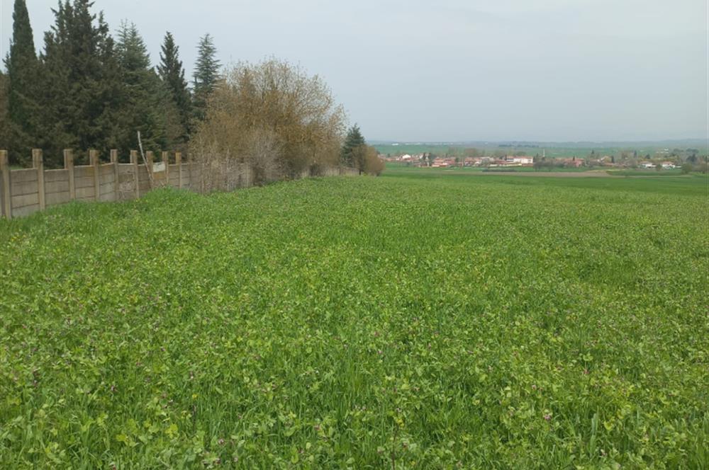 C.21 LOCA ALTIEYLÜL PAŞAKÖYDE SATILIK 7565 M2 FIRSAT ARSA,TARLA