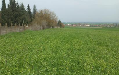 C.21 LOCA ALTIEYLÜL PAŞAKÖYDE SATILIK 7565 M2 FIRSAT ARSA,TARLA