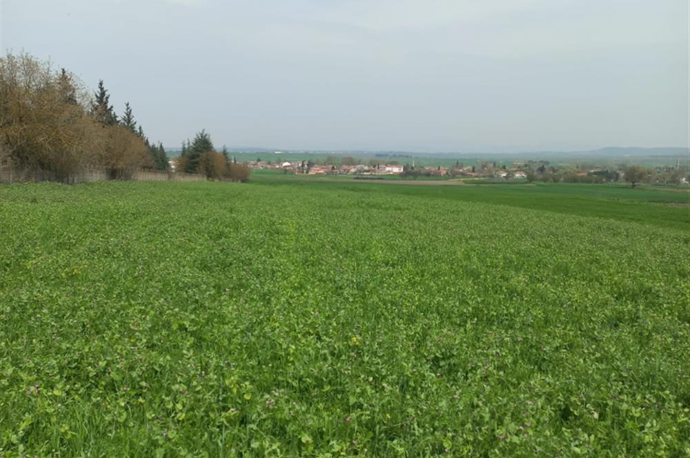 C.21 LOCA ALTIEYLÜL PAŞAKÖYDE SATILIK 7565 M2 FIRSAT ARSA,TARLA