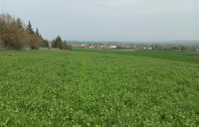 C.21 LOCA ALTIEYLÜL PAŞAKÖYDE SATILIK 7565 M2 FIRSAT ARSA,TARLA