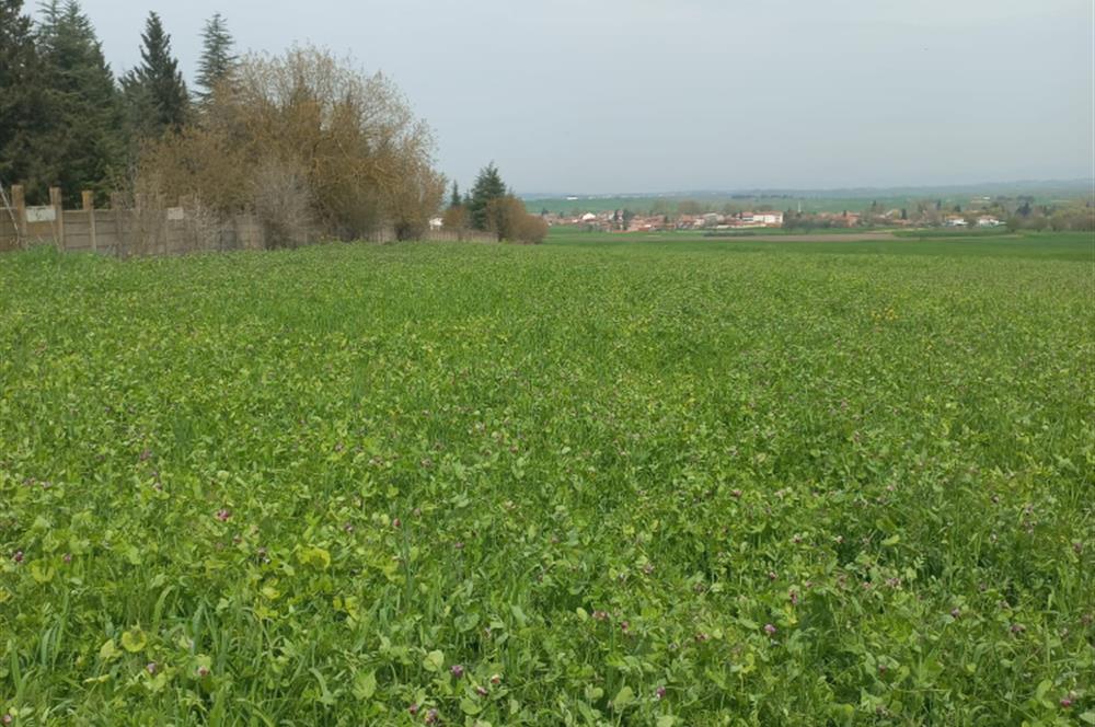 C.21 LOCA ALTIEYLÜL PAŞAKÖYDE SATILIK 7565 M2 FIRSAT ARSA,TARLA