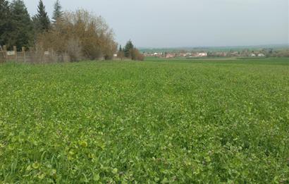 C.21 LOCA ALTIEYLÜL PAŞAKÖYDE SATILIK 7565 M2 FIRSAT ARSA,TARLA