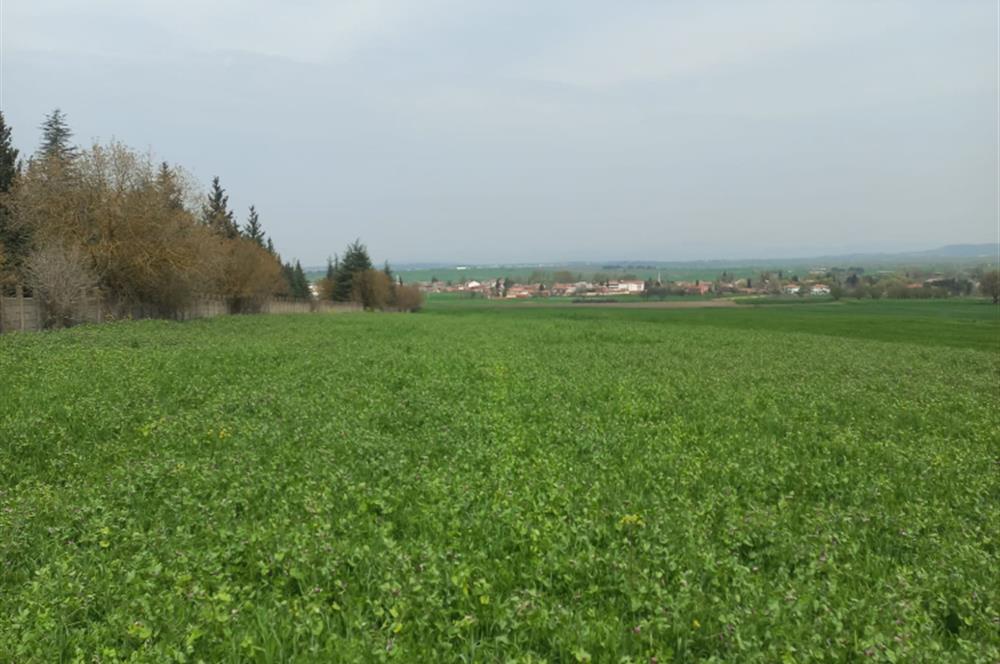 C.21 LOCA ALTIEYLÜL PAŞAKÖYDE SATILIK 7565 M2 FIRSAT ARSA,TARLA